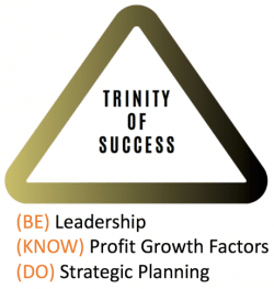 Strategic Success Program - Trinity Of Success